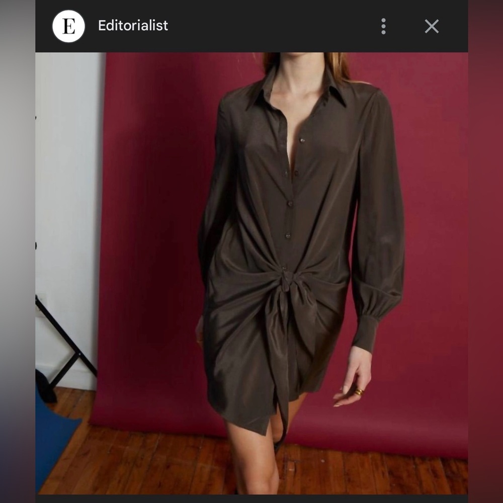 Gilner Ferrar Chic Long Sleeve Brown Dress